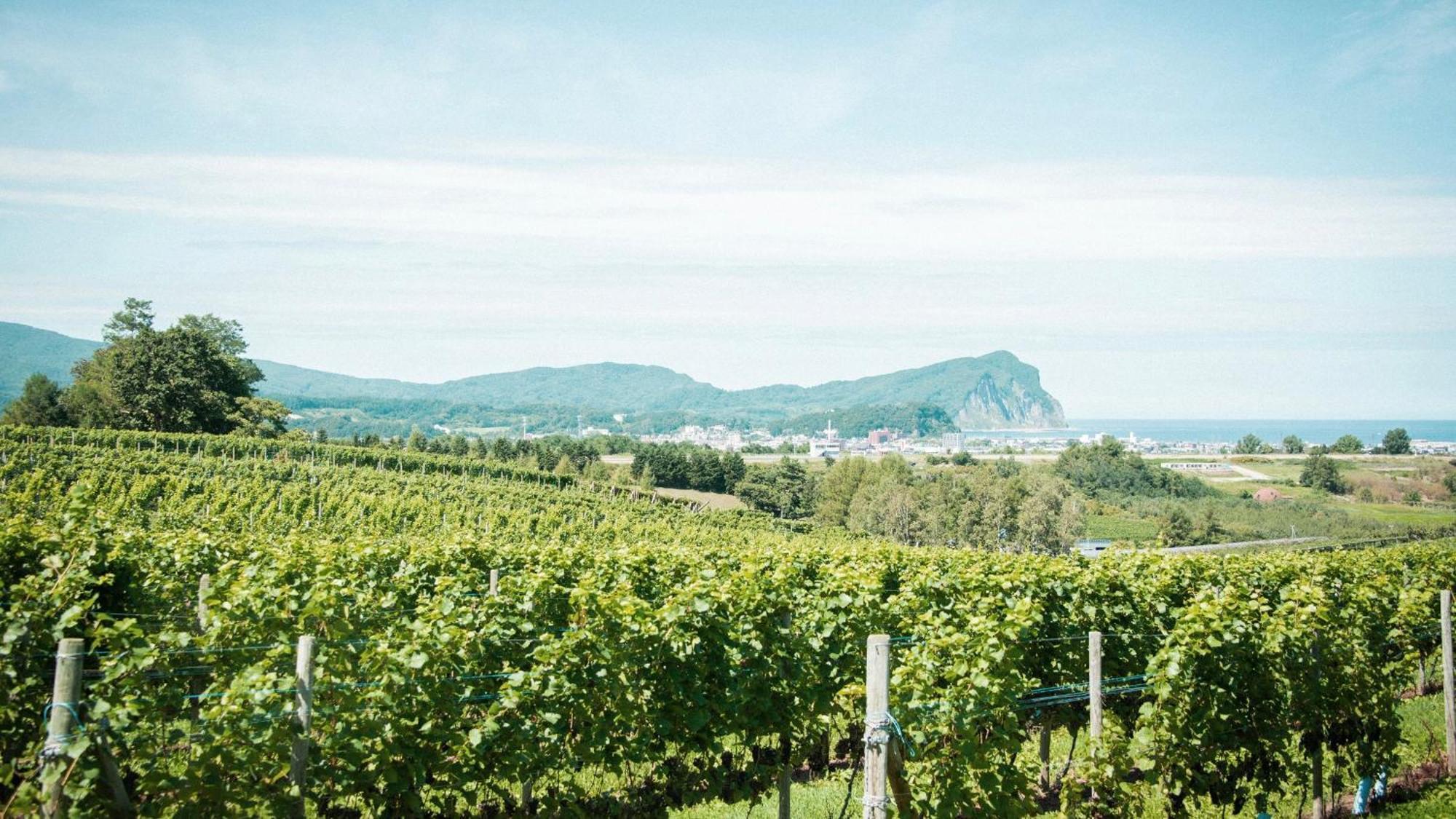 Yoichi Vineyard Glamping Ξενοδοχείο Εξωτερικό φωτογραφία